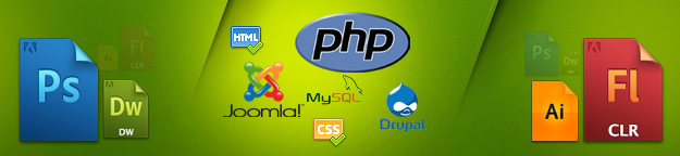 Web development solutions