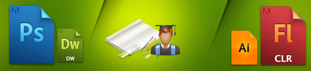  Web Designer